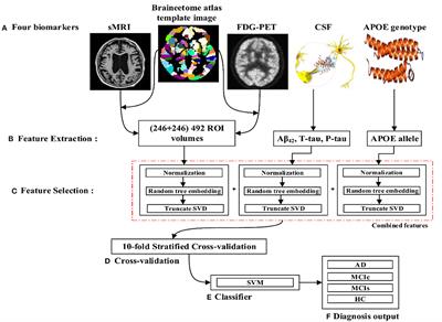 Prediction and Classification of Alzheimer’s Disease Based on Combined Features From Apolipoprotein-E Genotype, Cerebrospinal Fluid, MR, and FDG-PET Imaging Biomarkers